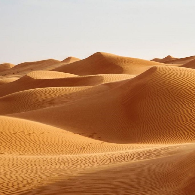 Wahiba Sands highlights